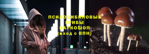 стафф Абдулино