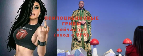 шишки Алексин