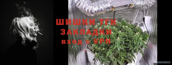 шишки Алексин
