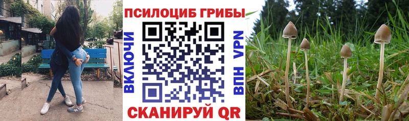 цены OMG ссылка Псилоцибиновые грибы Cubensis Лиски